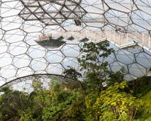 Eden Project