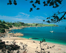 Trebah beach