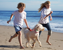 photo of children and dog playing on the beach